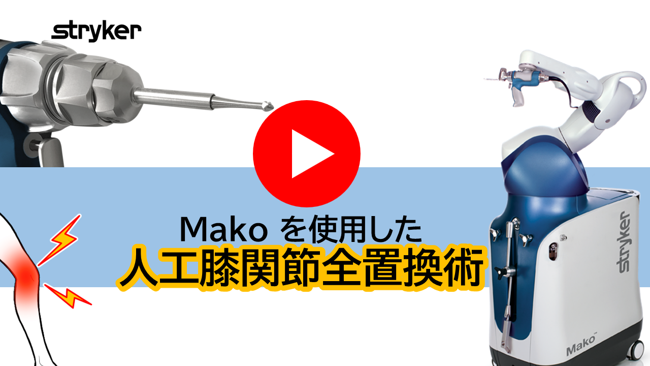 Makoを使用した動画解説